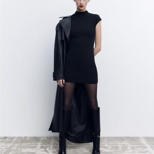 ZARA Fitted Dress